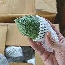 广东香水柠檬一级果，统果套膜，需要的私聊