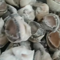 海螺头