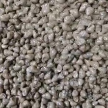 大量喂养蚂蟥螃蟹的螺丝，1.2规格1.0以下