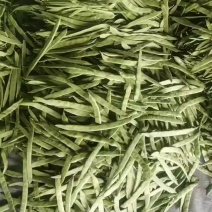 扁豆角大量上市