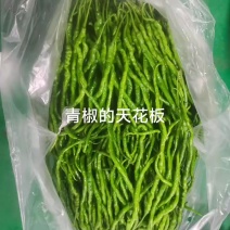 新苗鸡肠椒，鸡爪椒大量上市