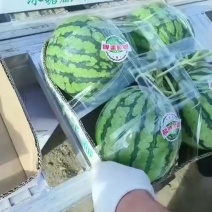 美都西瓜，4K西瓜，特小凤