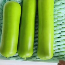 邯郸地区瓠瓜看瓜颜色看瓜条形看质量