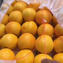中油14口感香甜，需要的老板说话