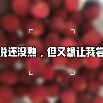 九分甜一分酸仙居东魁杨梅