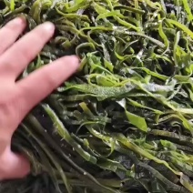 酱菜厂用海带丝量大价优支持视频看货欢迎来电洽谈合作