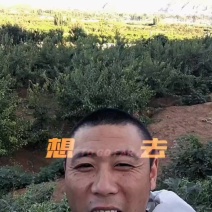 蟠桃