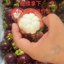 泰国山竹