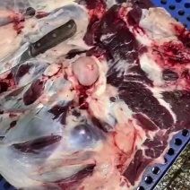 牛肉批发大量有货，一手货源，欢迎新老客户前来合作