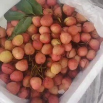 越南荔枝