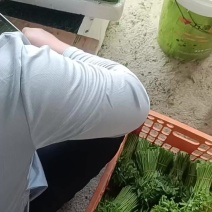 潮汕树仔菜