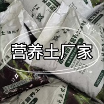 四川营养土厂家绿化工程泡土松土土壤改良@鑫立里