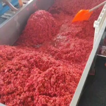 毛樱桃种籽