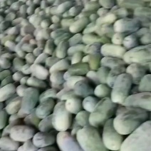 水果冬瓜产地大量直发高端品质诚信代办，代发全国