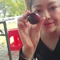 澳洲红李子&湖北李子/产地现货供应随到随装/一条龙服务