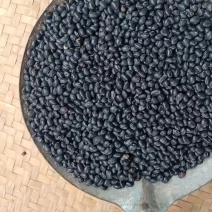 黑豆又叫五月药豆，基地直发，对接全国保质保量