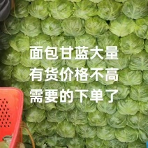 精品面包甘蓝