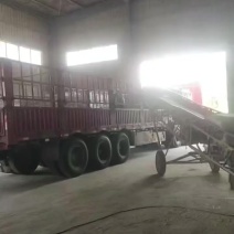 广东江门1.2无尘糠