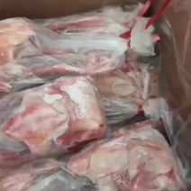 一级5-6两乳鸽大量有货