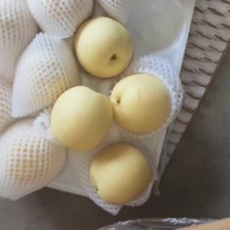 精品皇冠梨