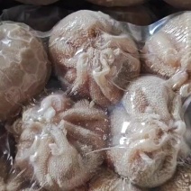 肚包羊肉，锡盟屠宰场工厂直销，全国冷链物流发货，保质保量