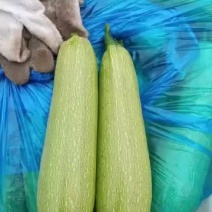 精品西胡芦，价格不高