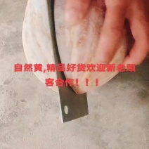 四川密本面甜，灰色好黄！