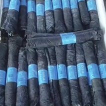 精品海带卷，又宽又厚，颜色质量都是特级精品货