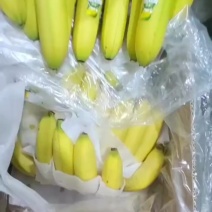 香蕉