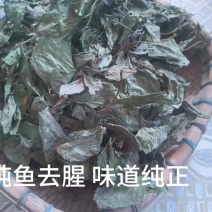 苏子干叶