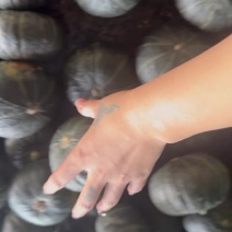 贝贝南瓜各种品质各种规格都有，对接商超市场一件代发，欢迎来电