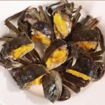 盘锦六月黄