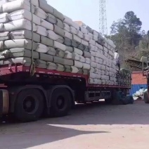 广西玉林压缩稻壳