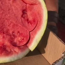 精品无籽美都麒麟西瓜