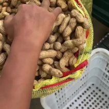 开封精品大白沙花生