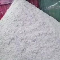 大量供应新鲜湿豆渣