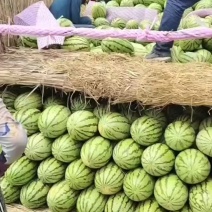 沙漠一号，大量现货