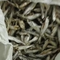 餐条鱼干，翘嘴鱼干地摊鱼干10块一斤