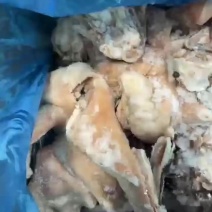 【熟羊肉】熟羊头肉