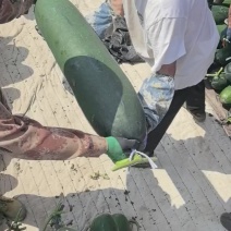 黑皮冬瓜