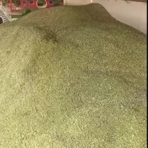 槐米通货出售。