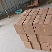安阳头茬青茄，支持电商市场一件代发