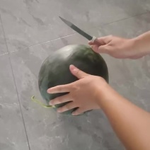 黑皮无子西瓜