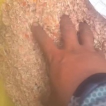 优质虾糠，虾粉，饲料**，产地发货，量大质优