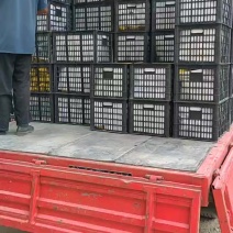 梨