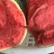 北京麒麟无籽头茬美都，天津武清无籽美都头茬