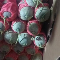 哈密瓜