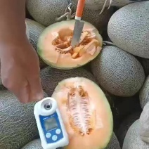 哈密瓜