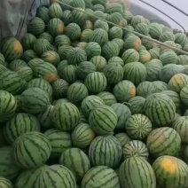 天津市宁河