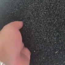 小叶高白葱籽